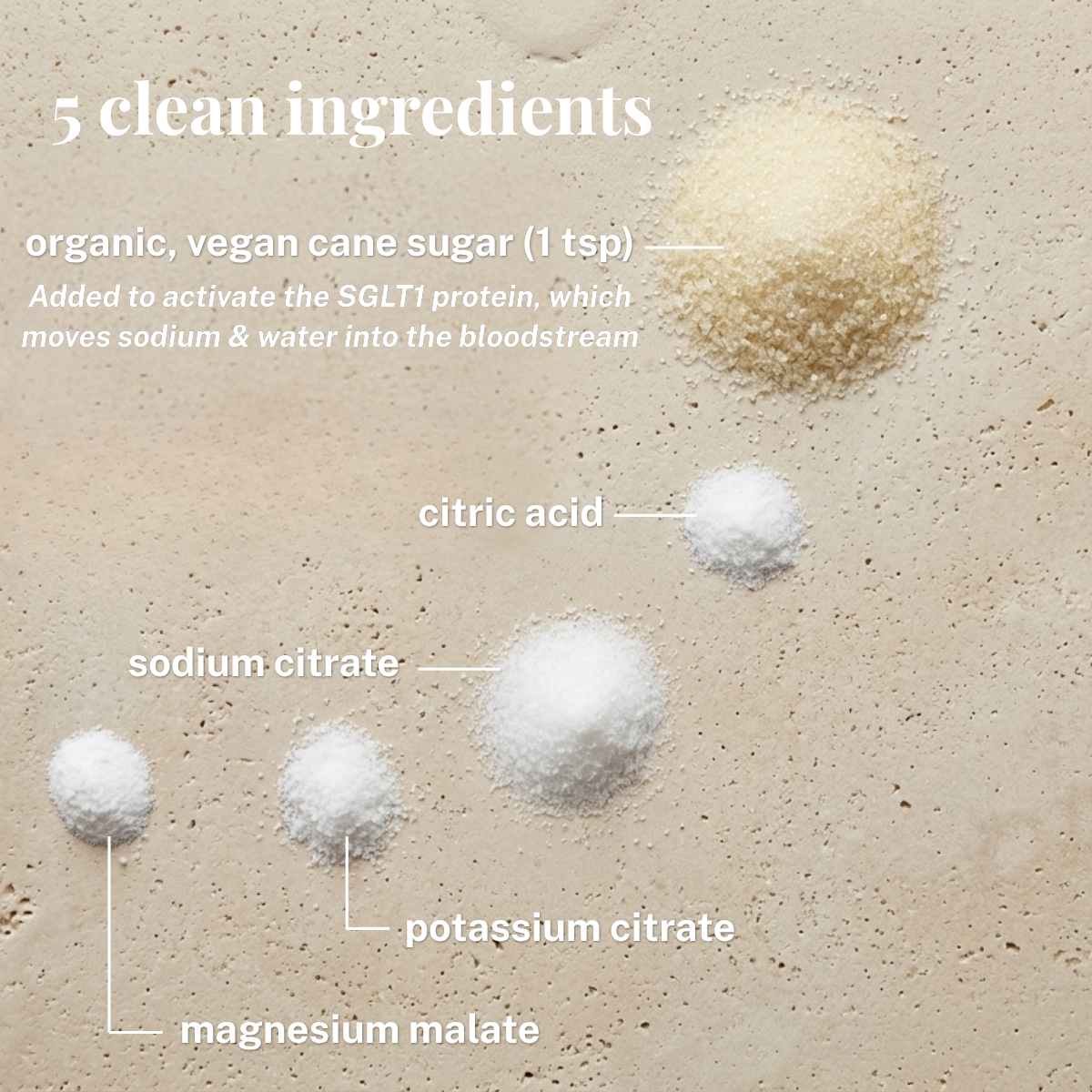 The Original [Pre-Sale Launching Soon!]